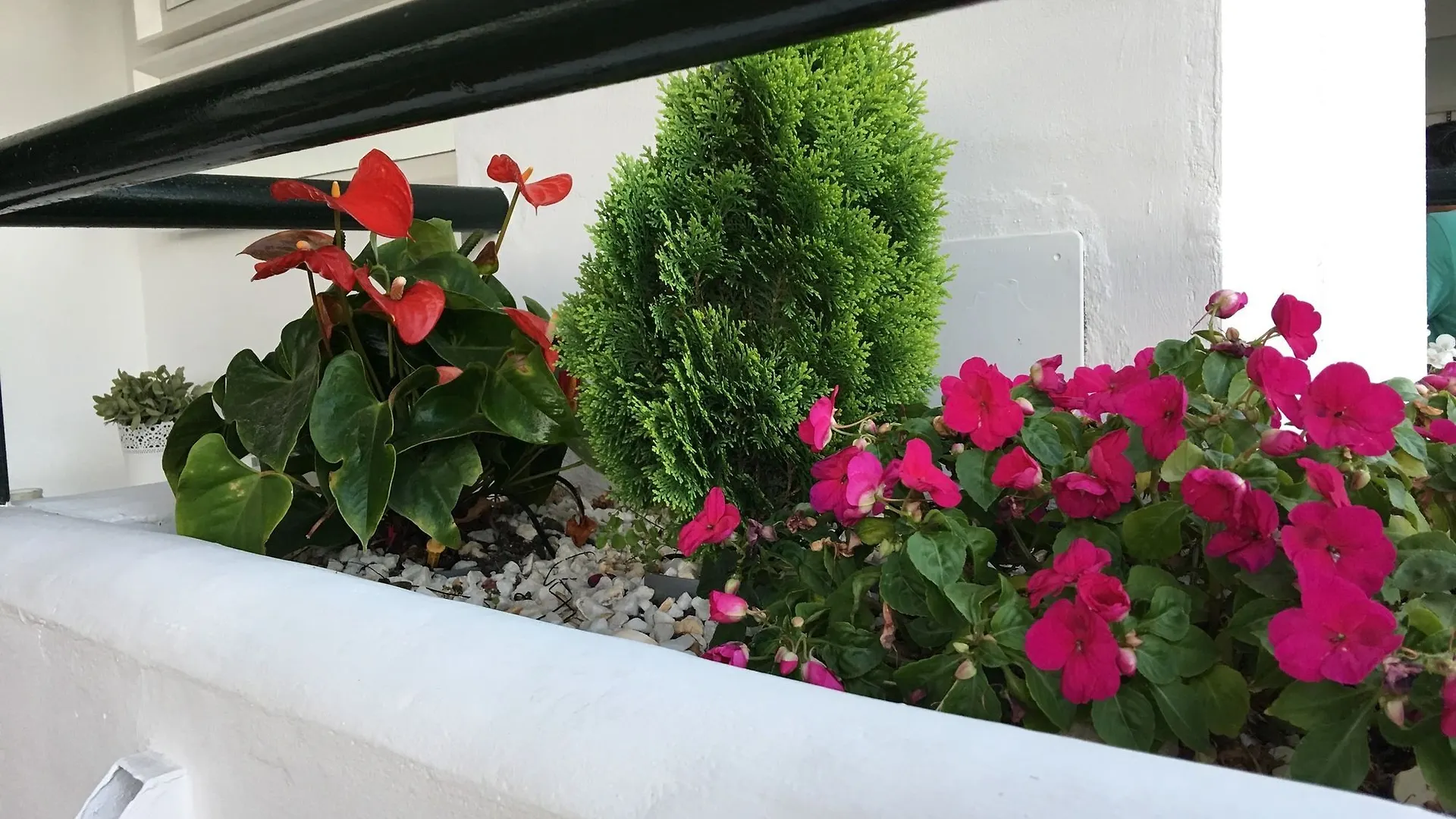 Mi Capricho Beachfront Apartment - Sitio De Calahonda Mijas